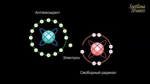✅ Что такое шунгит, его целебные свойства и как это использовать?!