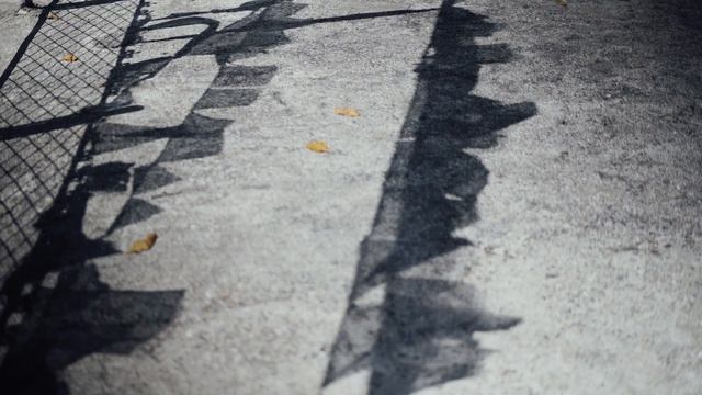 WORLD PEACE PAGODA  (Pokhara, Nepal)