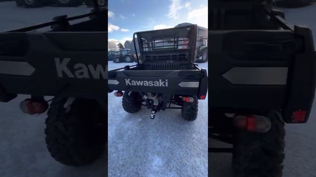 2018 Kawasaki Mule Pro-DX for sale - walkaround смотреть онлайн