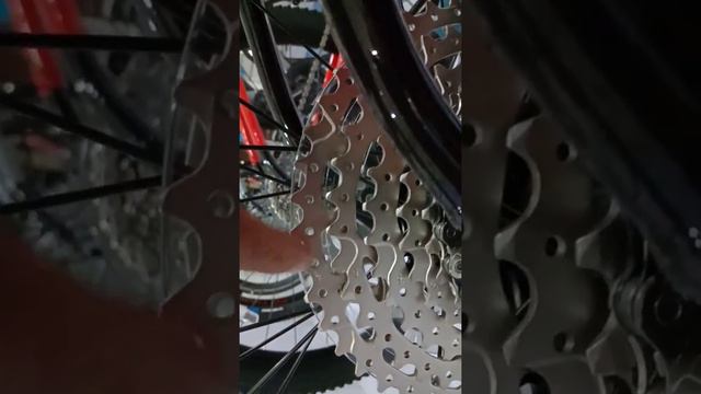 Marin Wildcat trail 5.0 смотреть онлайн