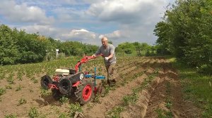 ОКУЧИВАНИЕ картофеля ДИСКОВЫМ ?ОКУЧНИКОМ, сделанным СВОИМИ РУКАМИ. Мотоблок АГАТ