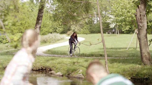 Happy Dog Brand Philosophy смотреть онлайн