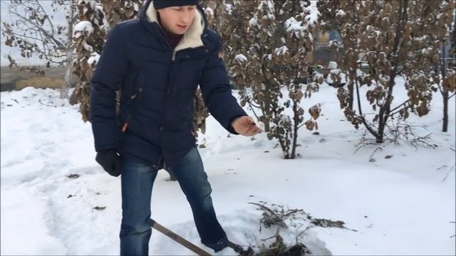 Черви под снегом! смотреть онлайн