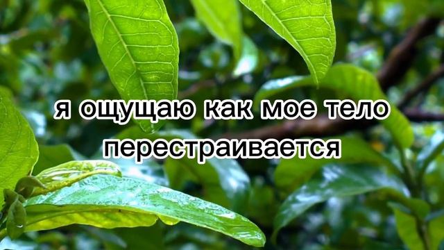 Слушай медитации и стройней. Программа стройности. 14 день. Устраняем зажимы в теле. смотреть онлайн