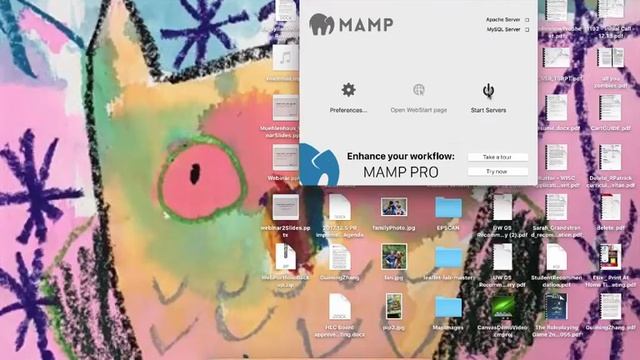 Installing MAMP Server on a Mac смотреть онлайн