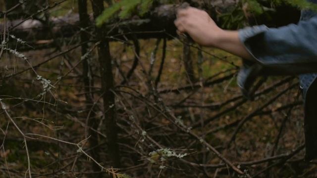 Поехали в лес за природным материалом. смотреть онлайн