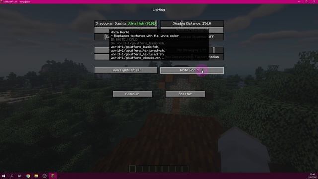 El Shader Definitivo para Minecraft 1.17.1 | Instalación y Configuración Avanzada смотреть онлайн