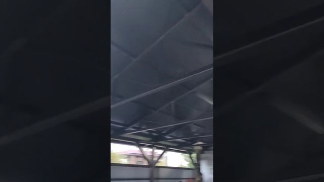 Построили навес 8на8 м. Дуб торчит из крыши.