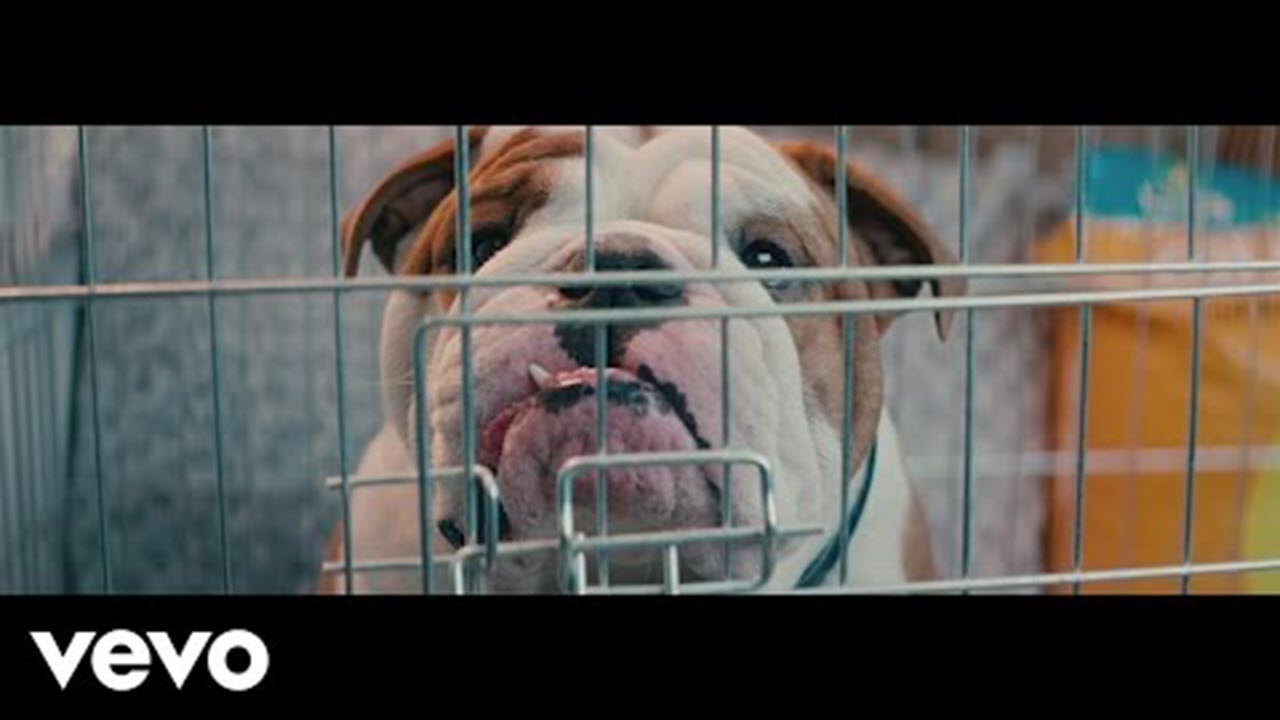 DJ Fresh vs Diplo - Bang Bang (Official Video) ft. R. City, Selah Sue, Craig David смотреть онлайн