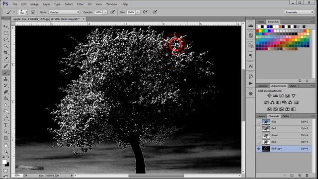 Photoshop Tutorials : How to remove tree Background | complex selection смотреть онлайн