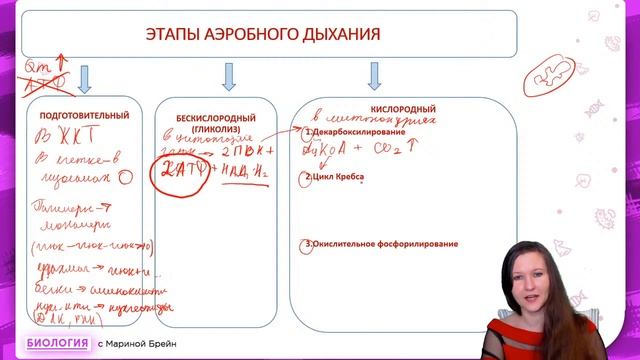 ЛОВУШКИ ЭНЕРГЕТИЧЕСКОГО ОБМЕНА смотреть онлайн