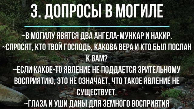 Сжимание могилы | Допросы в могиле. смотреть онлайн