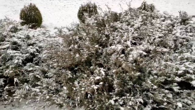 Шикарная снежная Красная горка Евпатория 2022 смотреть онлайн