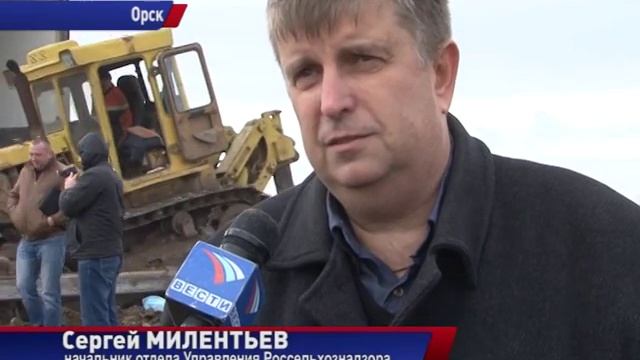 Сало с хлоркой смотреть онлайн