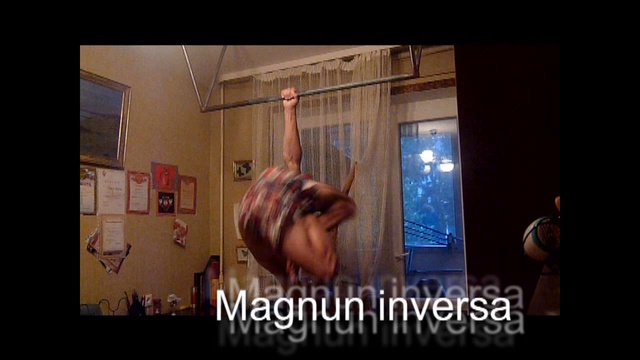 Gimbarr En Kaliningrad - Bibik Nikita