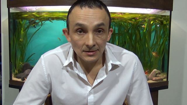 ВЛОГ: МОИ 18 ЛЕТ, КАК ЗАРАБОТАТЬ МИЛЛИОН, РЫБА В МАГАЗИНЕ смотреть онлайн