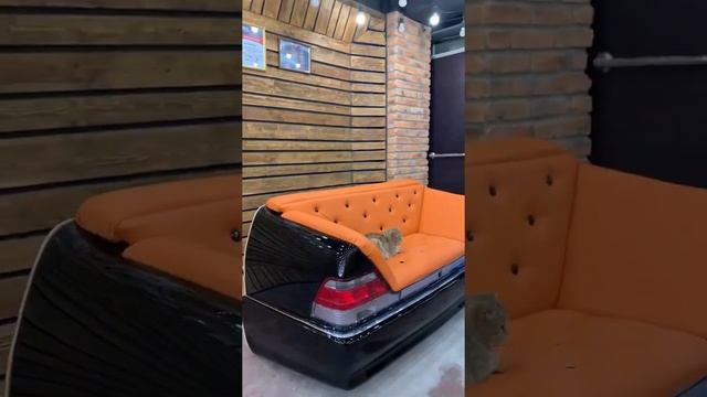Диван из богажника W140