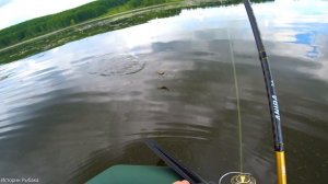 ПРИКЛЮЧЕНИЯ С НОВЫМ РЫБАКОМ!!! РЫБАЛКА НА СПИННИНГ!!!