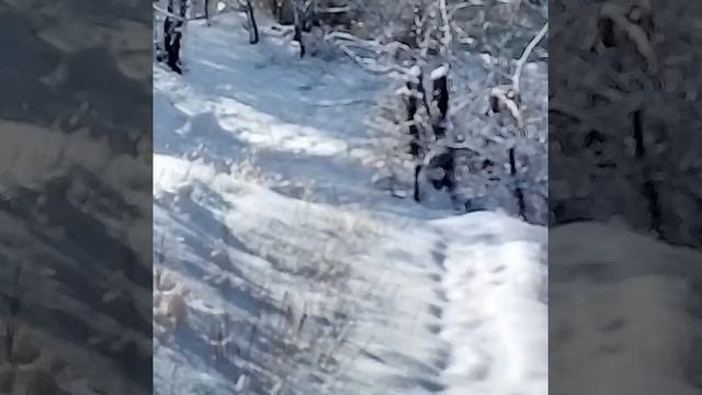 Красота страшная сила смотреть онлайн