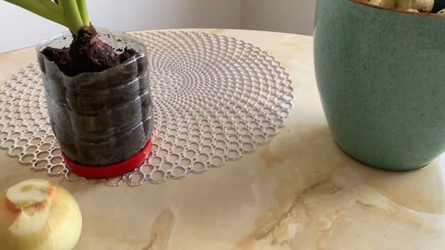 Сажаю лук на перо , секрет посадки смотреть онлайн