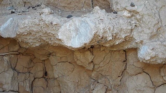 Protrusionisms смотреть онлайн