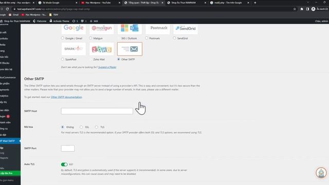 Cài đặt SMTP gửi nhận mail 100% trên WordPress mới nhất sau khi thiết kế Web cho người mới bắt đầu смотреть онлайн