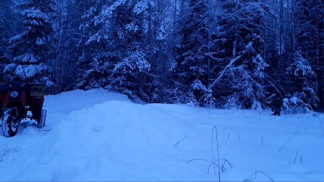 Возим дрова на МУРАВЬЕ зимой / Лысая резина вывозит!!! смотреть онлайн