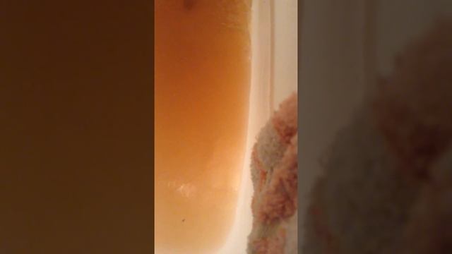 16 октября 2016 отключили холодную -горячую воду смотреть онлайн