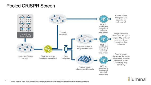 How to Leverage Illumina Sequencing in Genome-Wide CRISPR Screens смотреть онлайн