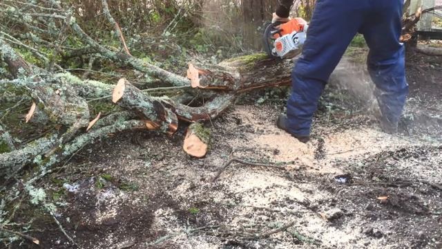 Working with Stihl MS 271 chainsaw смотреть онлайн