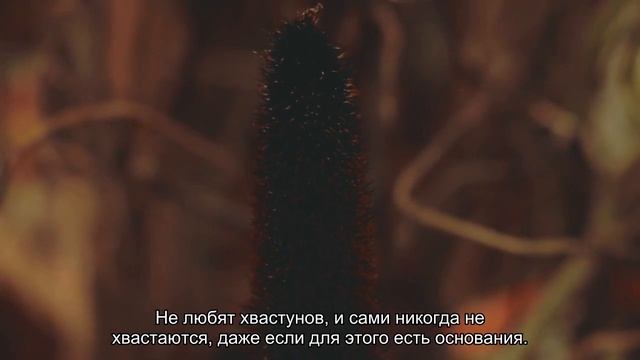 Значение имени Захария. Толкование, судьба, характер смотреть онлайн