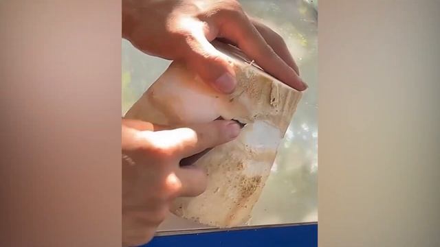 Невероятно Залипательное Видео 99% Что ты Скажешь ВАУ смотреть онлайн