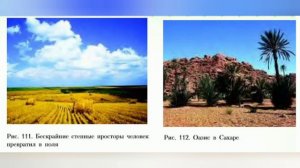 Краткий пересказ 50 параграфа География 5-6 класс. Биосфера. Алексеев Николина