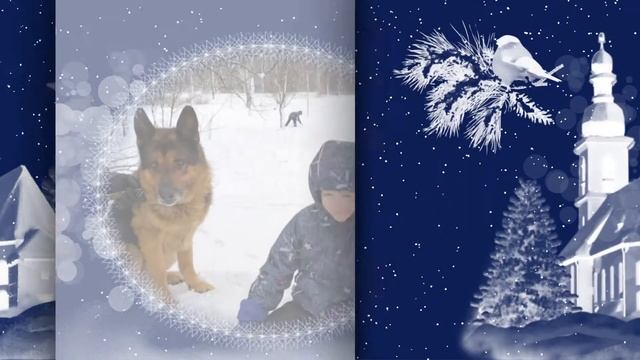 Белый снег смотреть онлайн