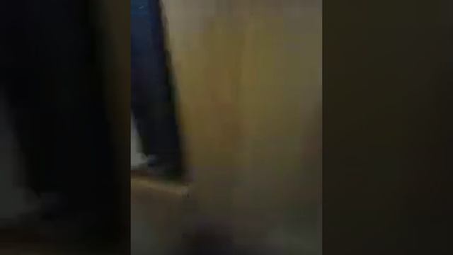 Гала+стиральный порошок+стиралка=??????? смотреть онлайн