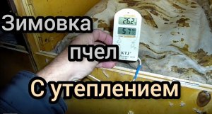 Зимовка пчёл с утеплением. Какая температура под подушкой во время зимовки пчёл.