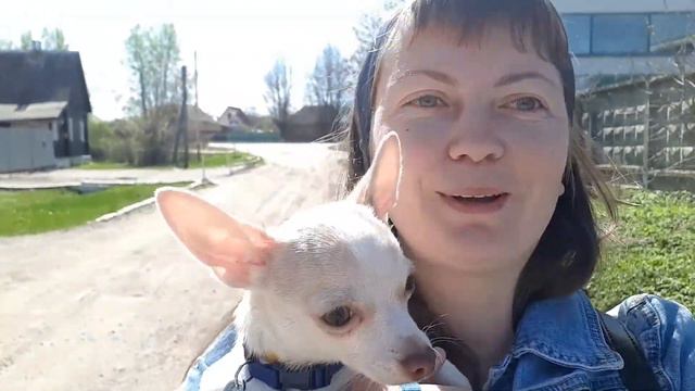 МОЯ ПЕРВАЯ СОБАКА. смотреть онлайн