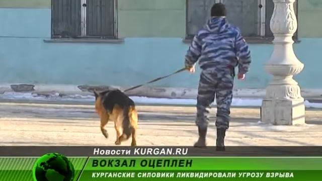 В Кургане бесхозная сумка стала причиной оцепления центрального вокзала смотреть онлайн