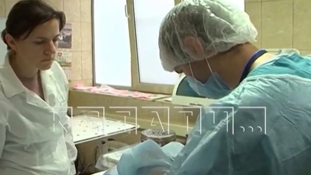 Главы ветеринарных служб из районов области будут проходить практику в центре «Зоозащита» смотреть онлайн