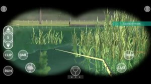Carp Fishing Simulator. Ladyforest Lake #2. Multi Species Fishing.