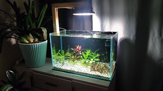 Аквариум медленный травник с гуппи голубая трава смотреть онлайн