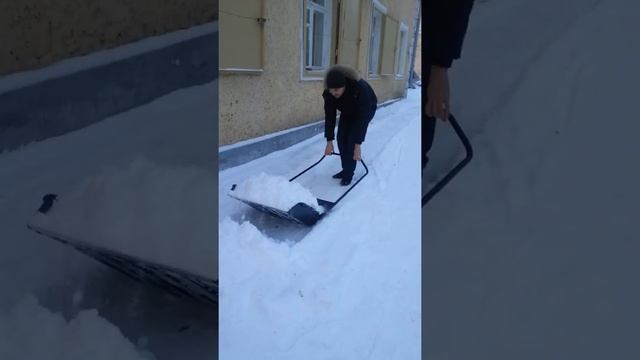 Движок для снега на колесах Palisad luxe большой (640*700) смотреть онлайн