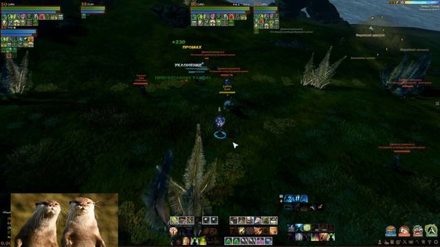 Archeage Хазе Криминальные сводки пвп "порядошные выдры" смотреть онлайн
