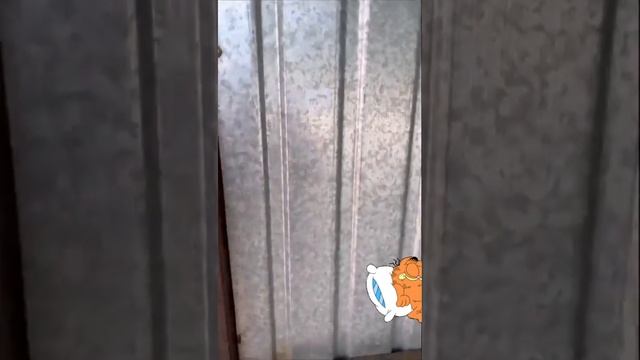 Друг приехал