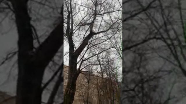 Гуляем смотреть онлайн