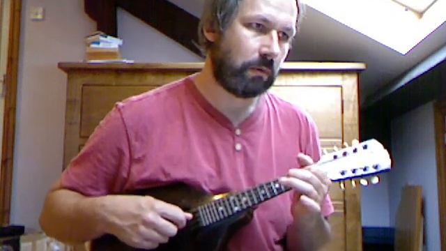 French folk music: Mazurka d'Embrault (Thierry Mirebeau), on vintage Gibson mandolin смотреть онлайн