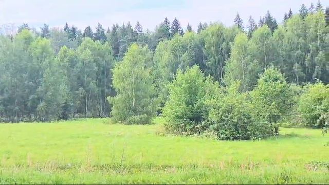ЗУ Мостки :633 смотреть онлайн