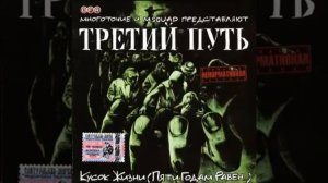 Многоточие Я был бы рад 13