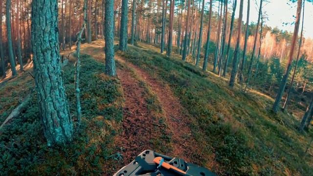 Поездка по побережью Чудского озера на Cfmoto. смотреть онлайн