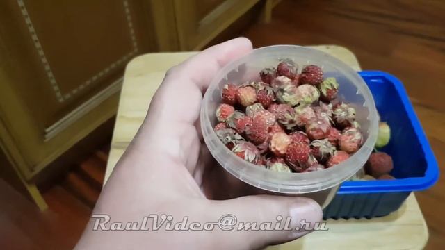 Ягоды культурные и безкультурные Виктория Земляника смотреть онлайн